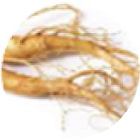Ginseng