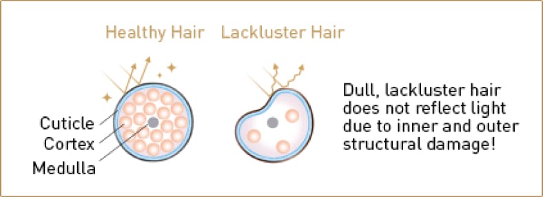 Platinum-Keratin-2