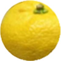 Yuzu