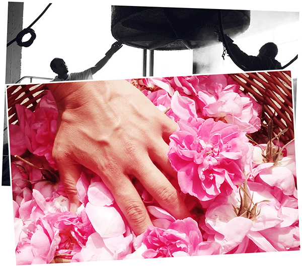 craft_fragrance (1)